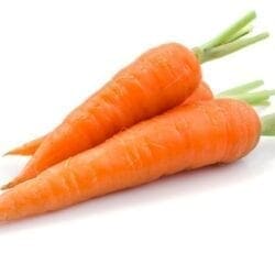 Carrot