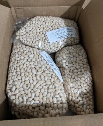 white northern beans